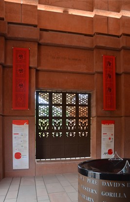 Nashornpagode 10