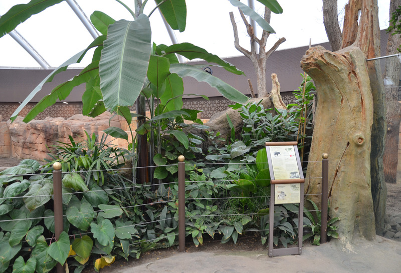 Zoo Berlin Nashorn-Pagode 11