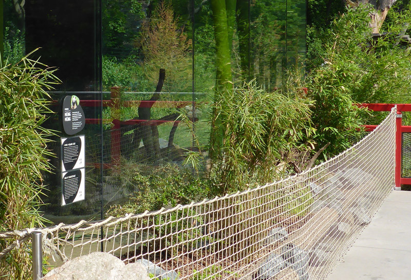 Zoo Berlin, Panda Garden 17