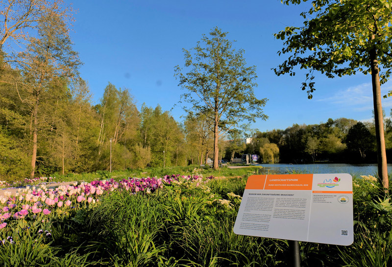 LAGA Bad Gandersheim 4