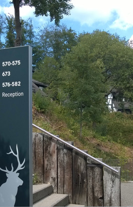 Dorint Hotel Winterberg 9