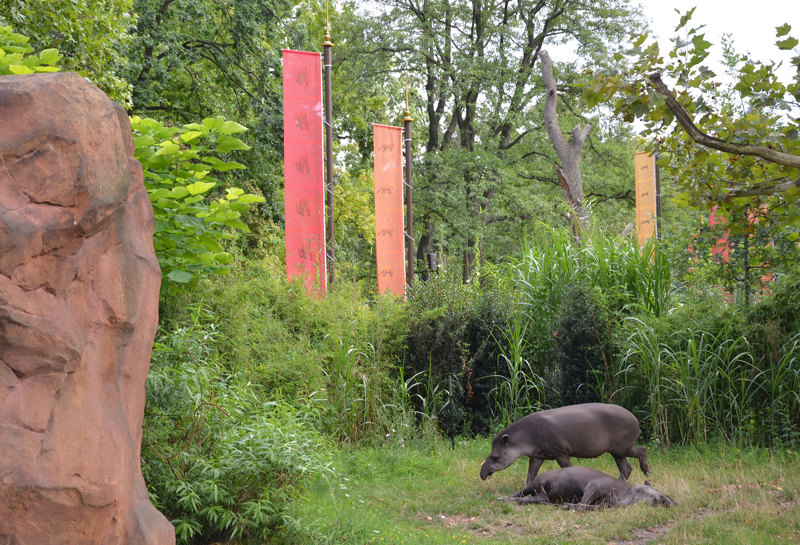 Zoo Berlin Nashorn-Pagode 21