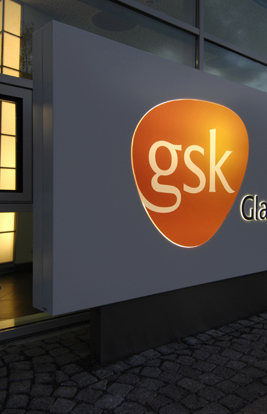 Glaxo Smith Kline 2