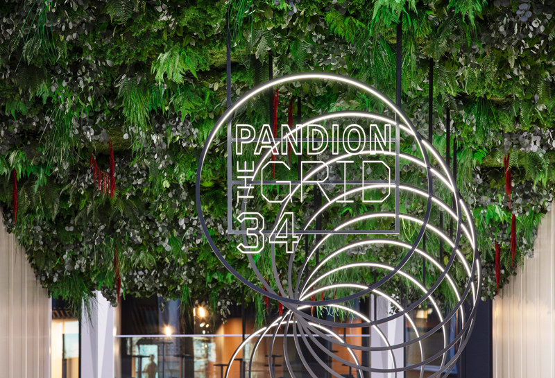 PANDION 1
