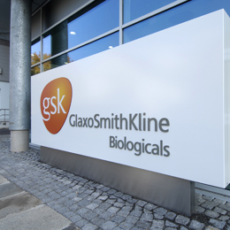 Glaxo Smith Kline 6