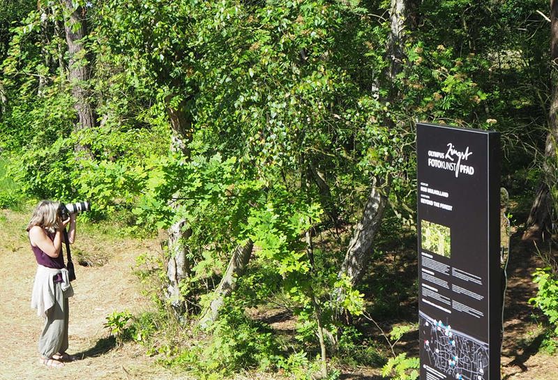 Olympus FotoKunstPfad 16