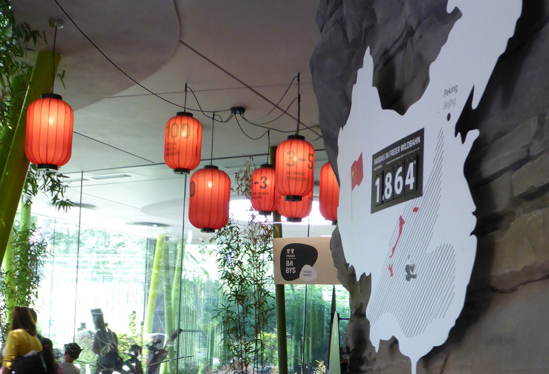 Zoo Berlin, Panda Garden 4