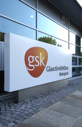 Glaxo Smith Kline 7