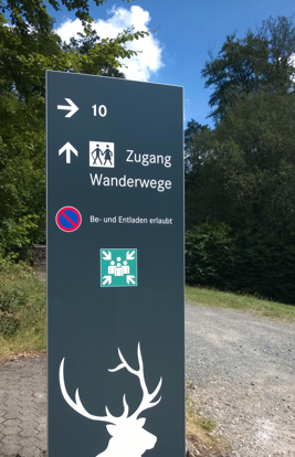 Dorint Hotel Winterberg 5