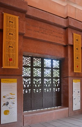 Nashornpagode 11