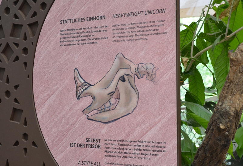 Zoo Berlin Nashorn-Pagode 9