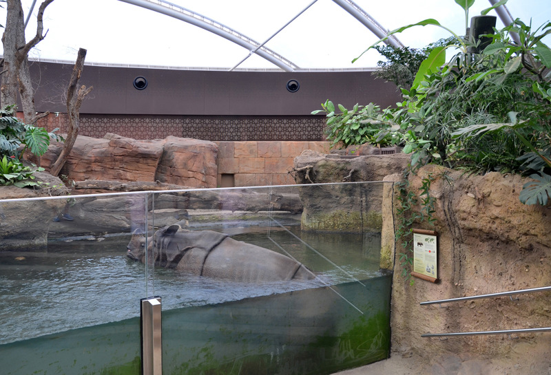 Zoo Berlin Nashorn-Pagode 12