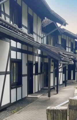 Dorint Hotel Winterberg 8