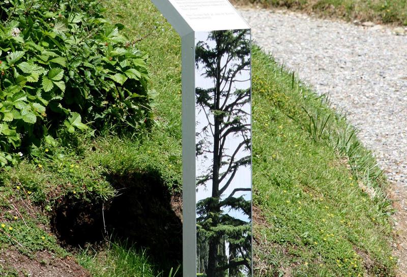 Villa la Collina am Comer See 8