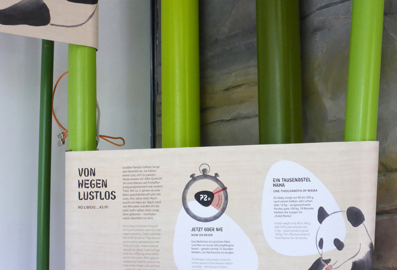 Zoo Berlin, Panda Garden 9