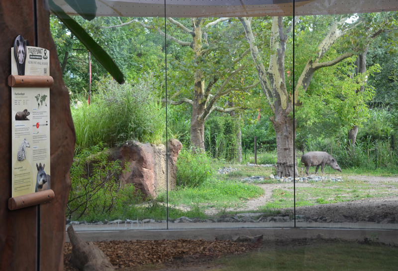 Zoo Berlin Nashorn-Pagode 10