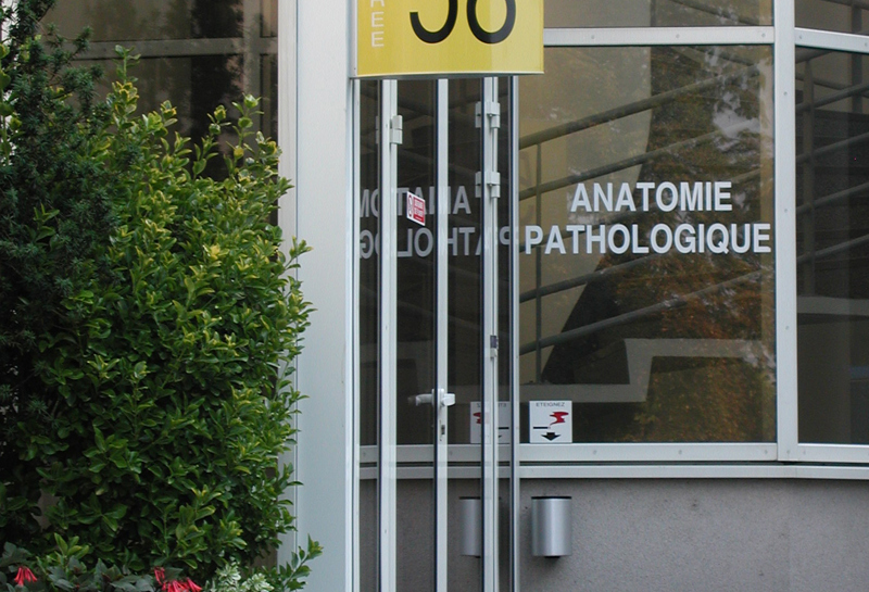 Wegweiser Fahne SF Slide 2