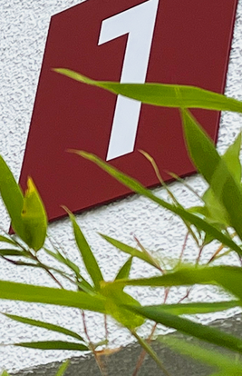 Od Flow Wuppertal F1