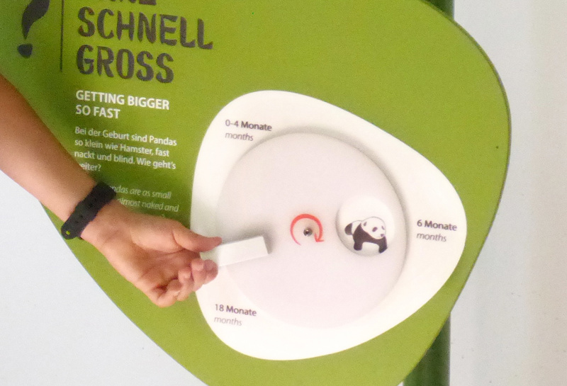 Zoo Berlin, Panda Garden 14